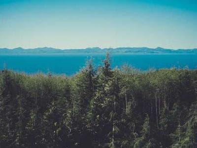 Oak Ridge Preserve - water quality documentation