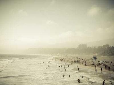 Meadowbrook Prairie - before after documentation