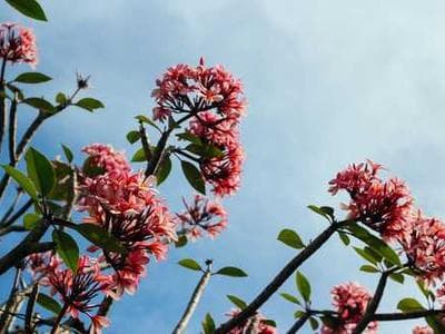 Willow Creek Wetlands - water quality documentation
