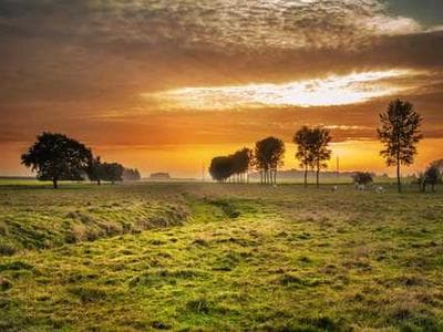 Pine Valley Restoration - aerial documentation