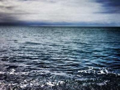 Riverside Meadows - monitoring documentation