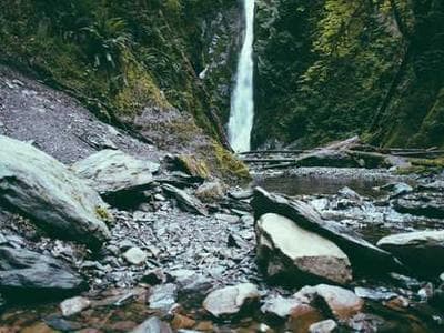 Meadowbrook Prairie - vegetation documentation