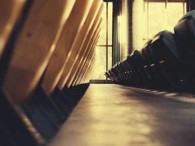 Riverside Meadows - vegetation documentation