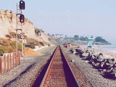 Riverside Meadows - planting documentation