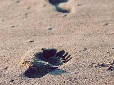 Cedar Lake Watershed - vegetation documentation