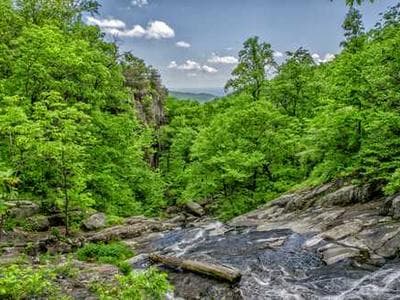 Willow Creek Wetlands - community documentation